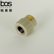 PPR-內(nèi)牙直通